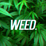 Weed