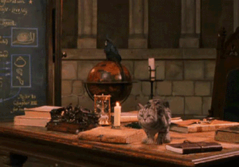 1.gif.b58846300dde27633e17651f2eac362d.gif