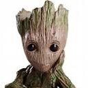 GROOT